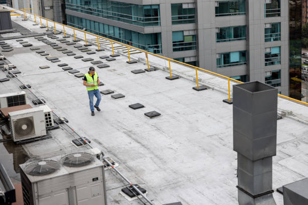 Best Roof Inspection  in Volo, IL
