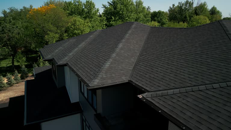 Trusted Volo, IL Roofing Service Experts