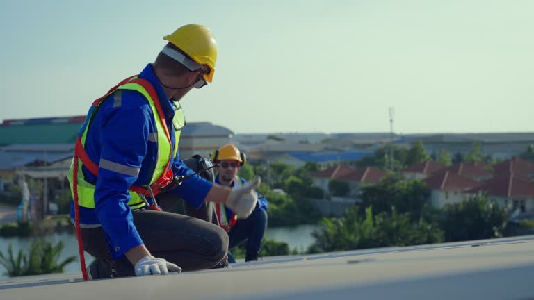 Best Solar Panel Roofing Installation  in Volo, IL