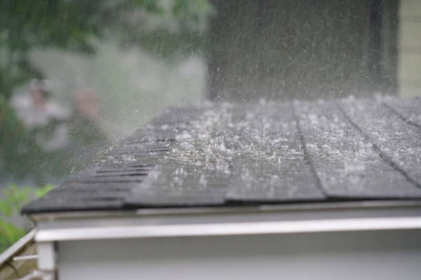 Best Cold Roofs  in Volo, IL