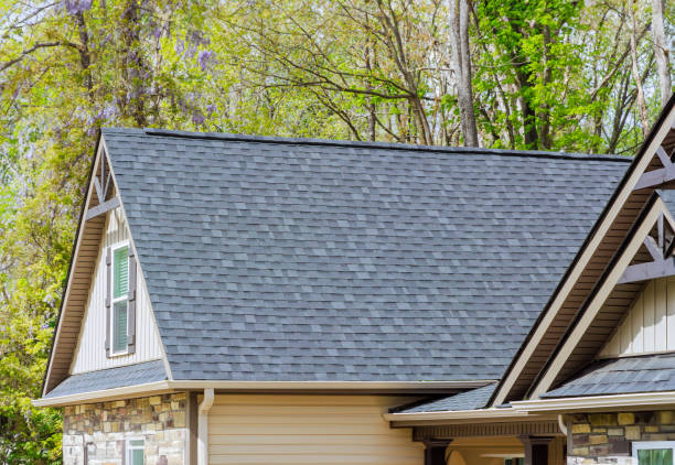 Best Hot Roofs  in Volo, IL