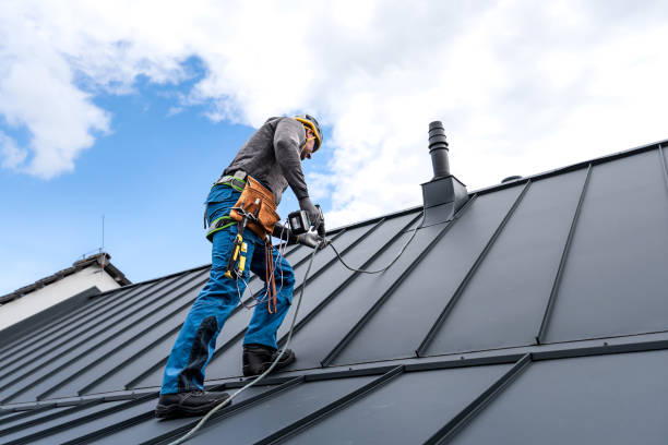 Best Roof Insulation Installation  in Volo, IL