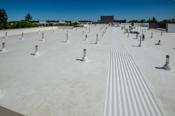 Best Chimney Flashing Repair  in Volo, IL